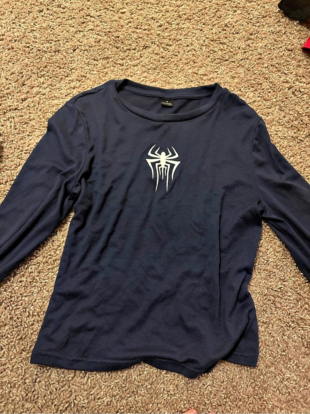 Spider Graphic Long Sleeve in Blue Size Small